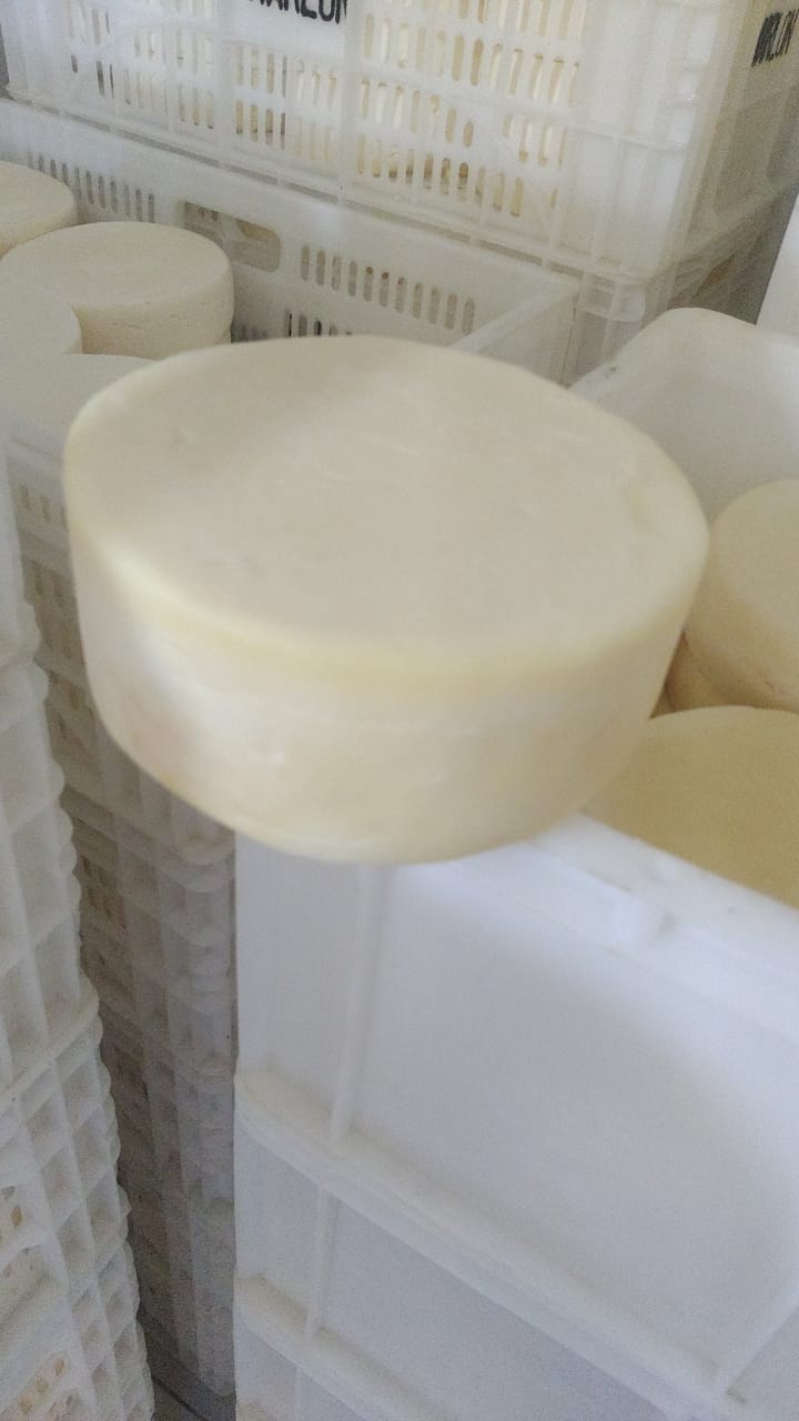 Queijo São Roque
